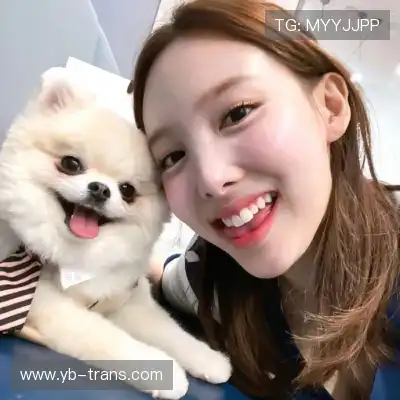 梅鹃仪